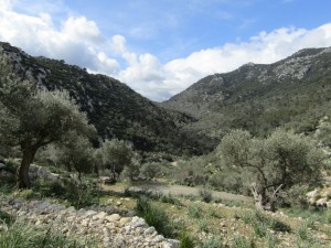 IMG_4541 (Medium)